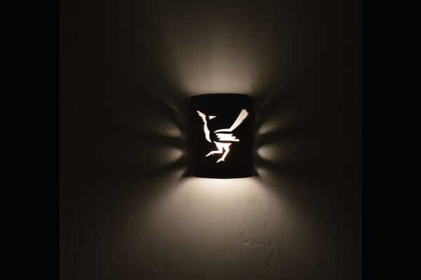 Roadrunner design-Opal color-indoor,outdoor light website